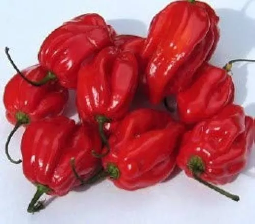 arroz-con-pollo-pepper Arroz Con Pollo Pepper