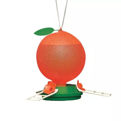 Artline Oriole Feeder