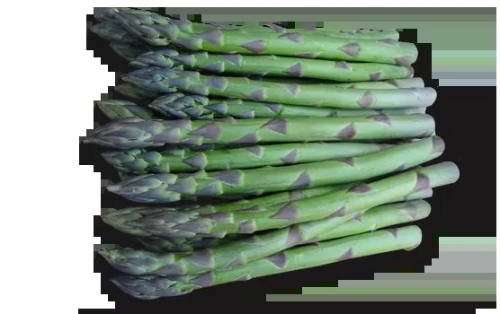 Asparagus "Eclipse" - 2 Gal