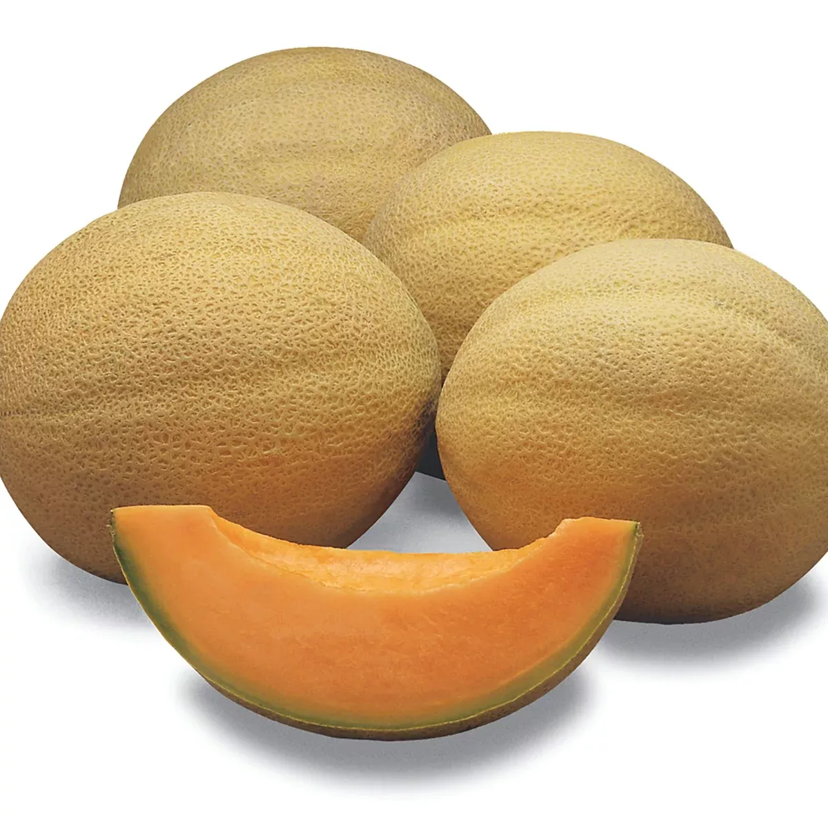 Athena Hybrid Melon