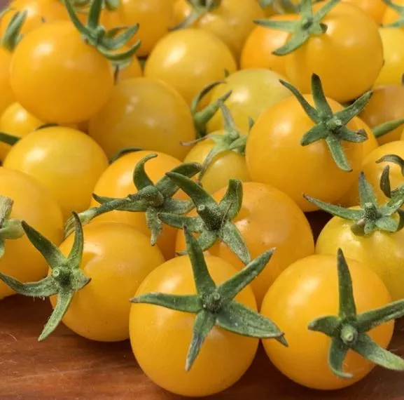 Aunt Ruby’s Yellow Cherry Tomato