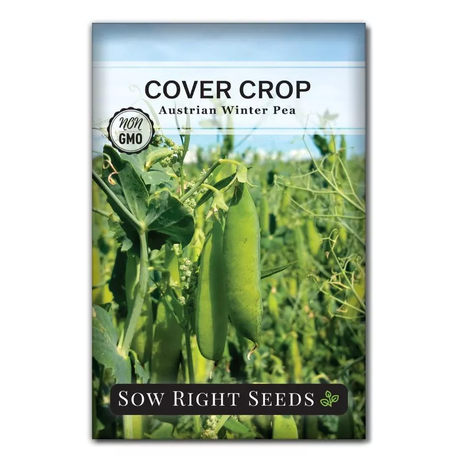 austrian-winter-pea-cover-crop Austrian Winter Pea Cover Crop