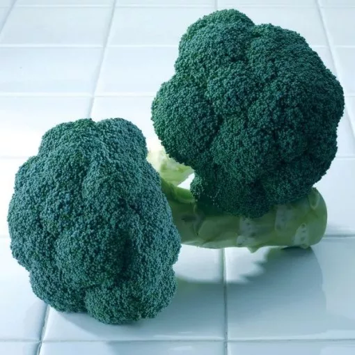 avenger-broccoli-seeds Avenger Broccoli Seeds