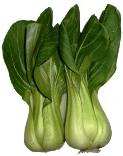 Baby Bok Choy