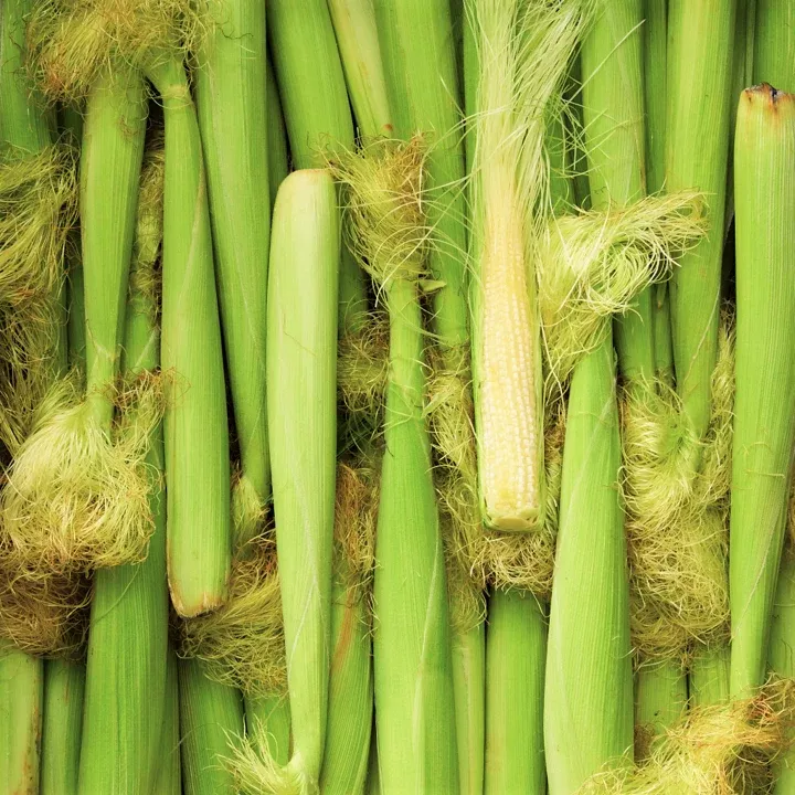 baby-corn Baby Corn