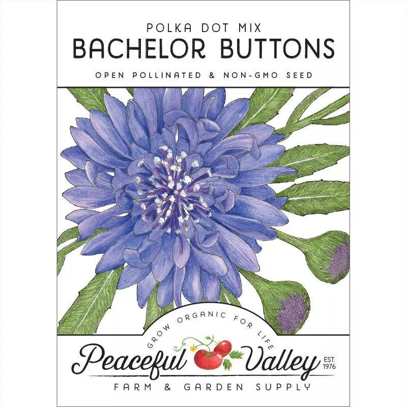 bachelor-buttons-seed-pack Bachelor Buttons Seed Pack