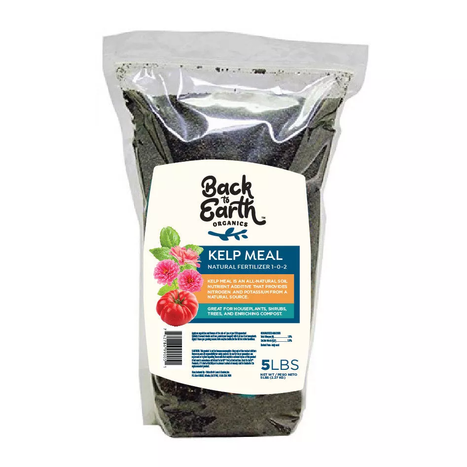 back-to-earth-organics-kelp-meal Back to Earth Organics Kelp Meal