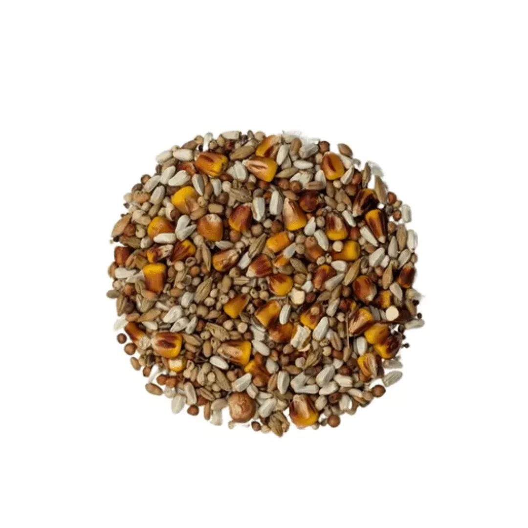Baden DB Racing Mix 50lbs [SPECIAL ORDER]