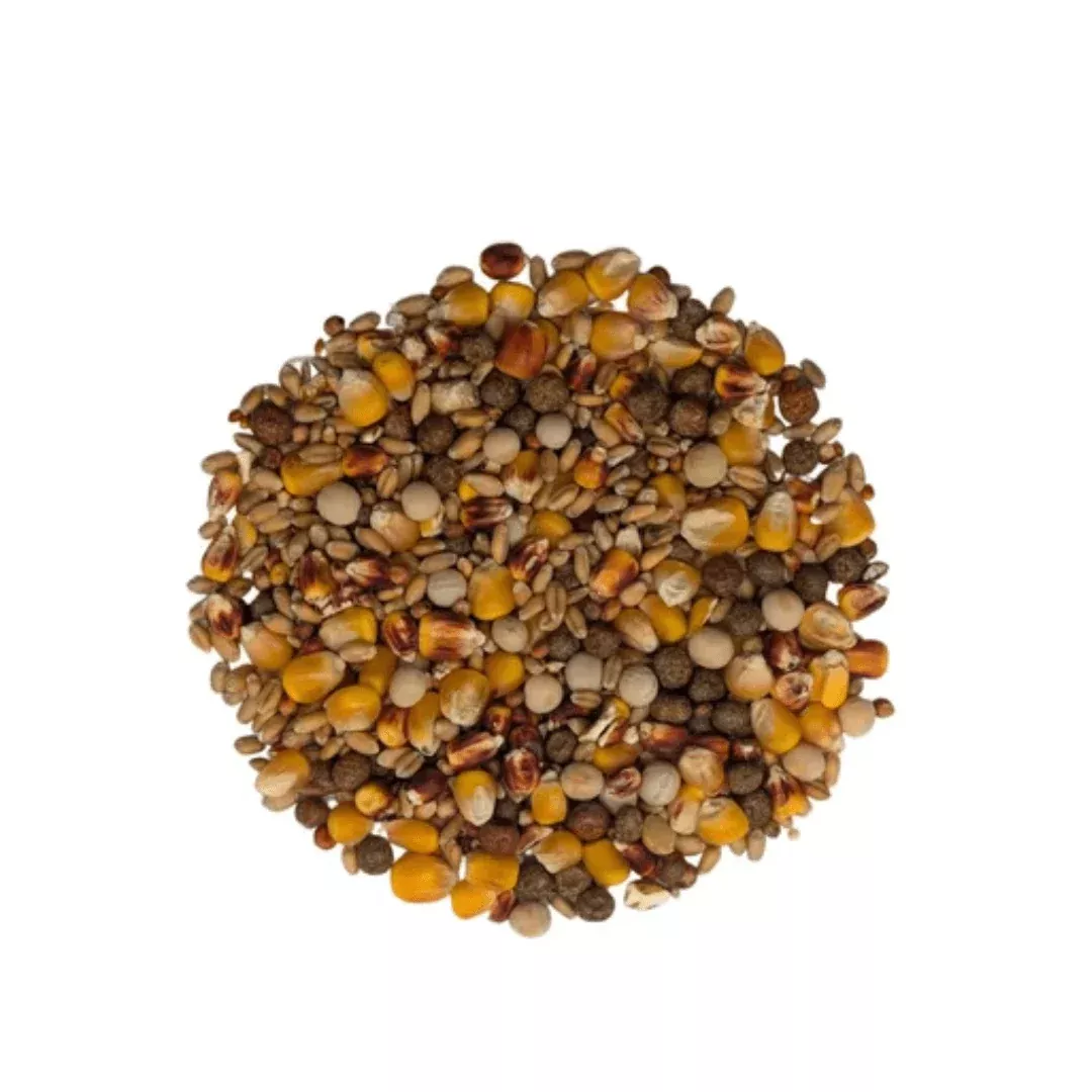 baden-pigeon-mix-50lbs Baden Pigeon Mix 50lbs