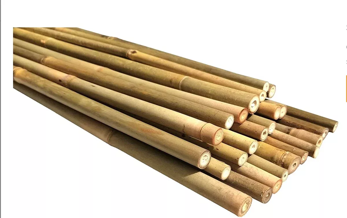 bamboo-stake-10 Bamboo Stake 10'