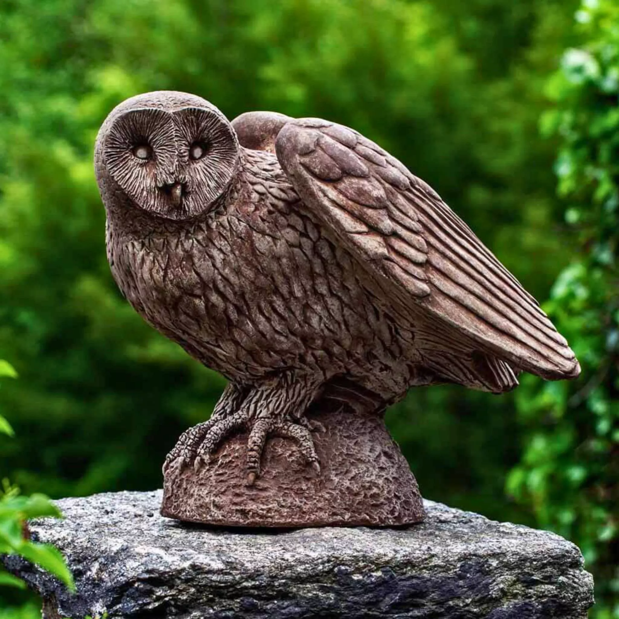 barny-owl-concrete-garden-statue-campania-a511 Barny the Owl Concrete Garden Statue - Campania #A511