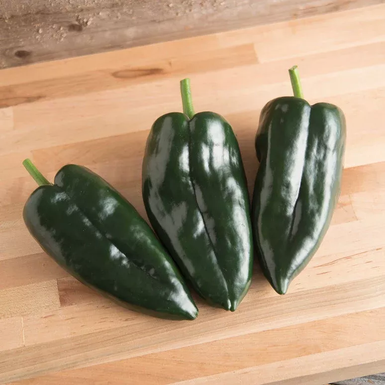 baron-poblano Baron Poblano