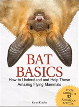 bat-basics-book Bat Basics Book