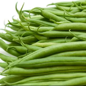 bean-provider Bean: Provider
