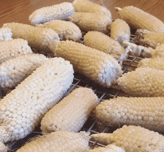 bear-paw-popcorn Bear Paw Popcorn