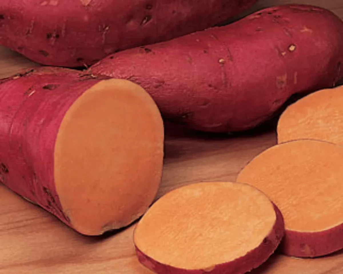 beauregard-sweet-potato-plants Beauregard Sweet Potato Plants