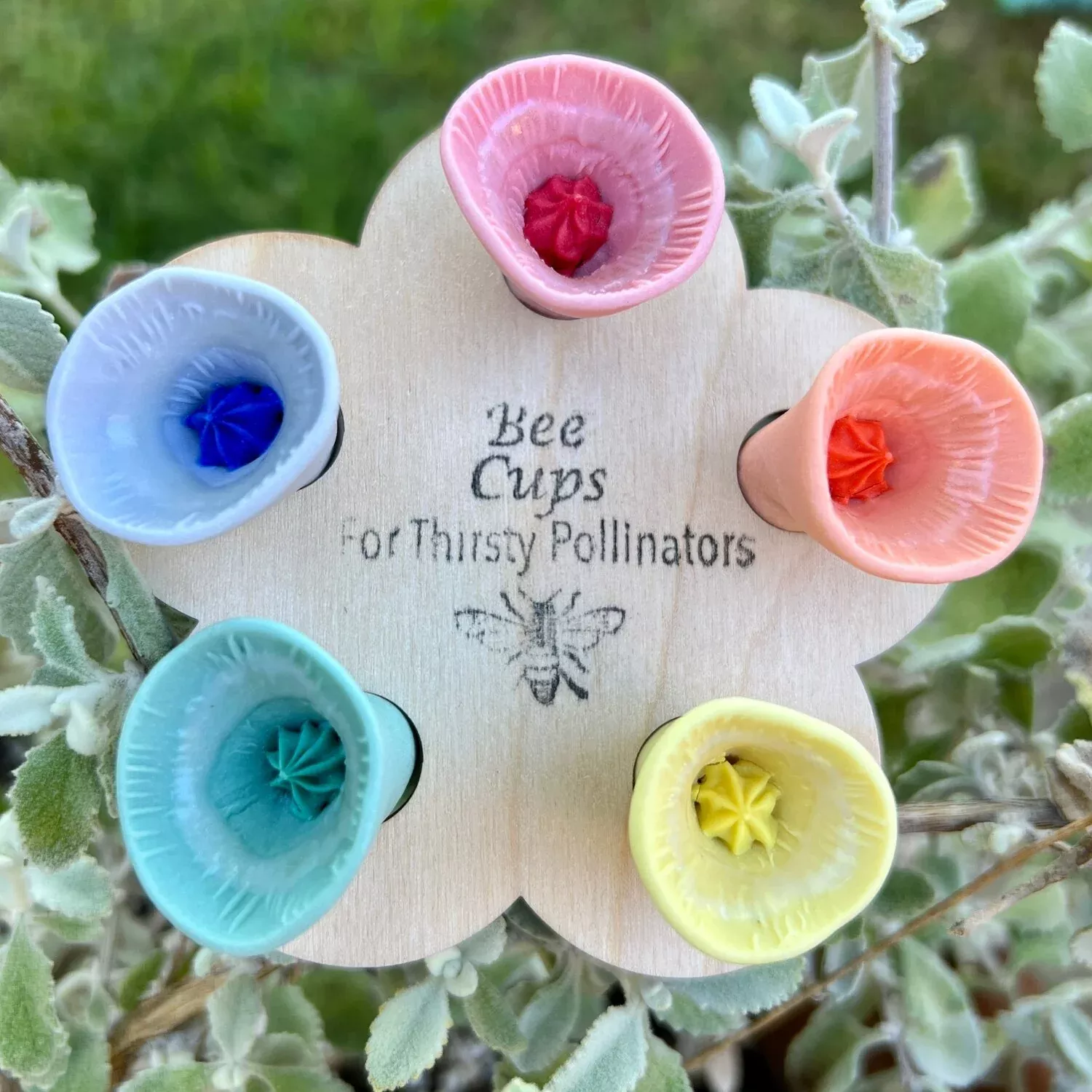 bee-vision-variety-pack-5-pack Bee Vision Variety Pack-5 pack