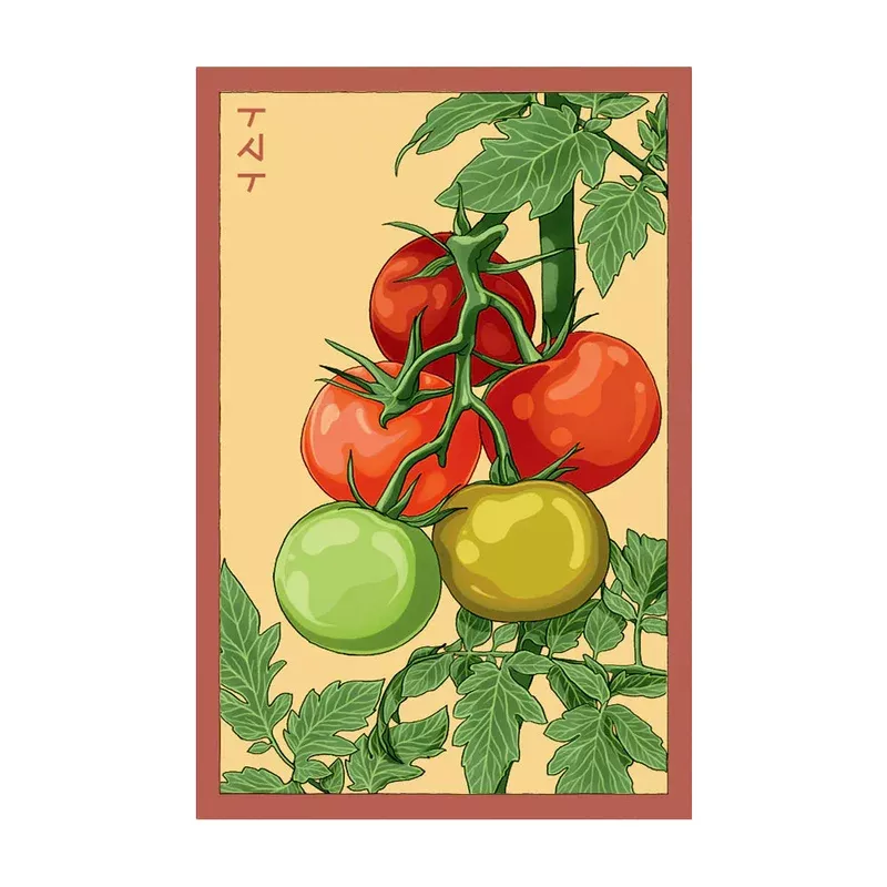 beefsteak-tomato-seeds Beefsteak Tomato Seeds