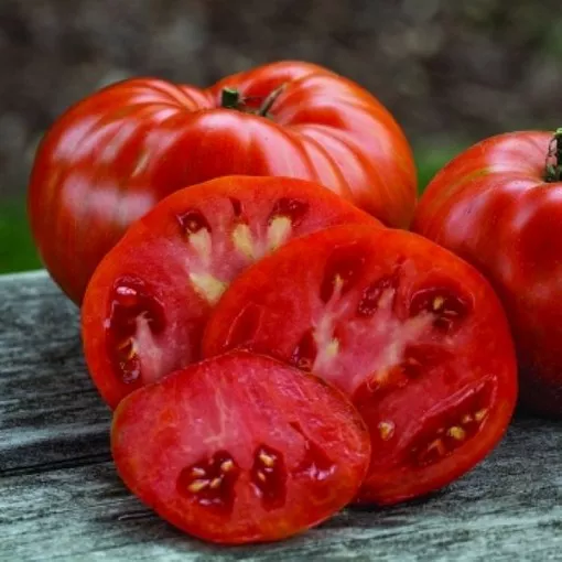 beefy-red-tomato-seeds Beefy Red Tomato Seeds