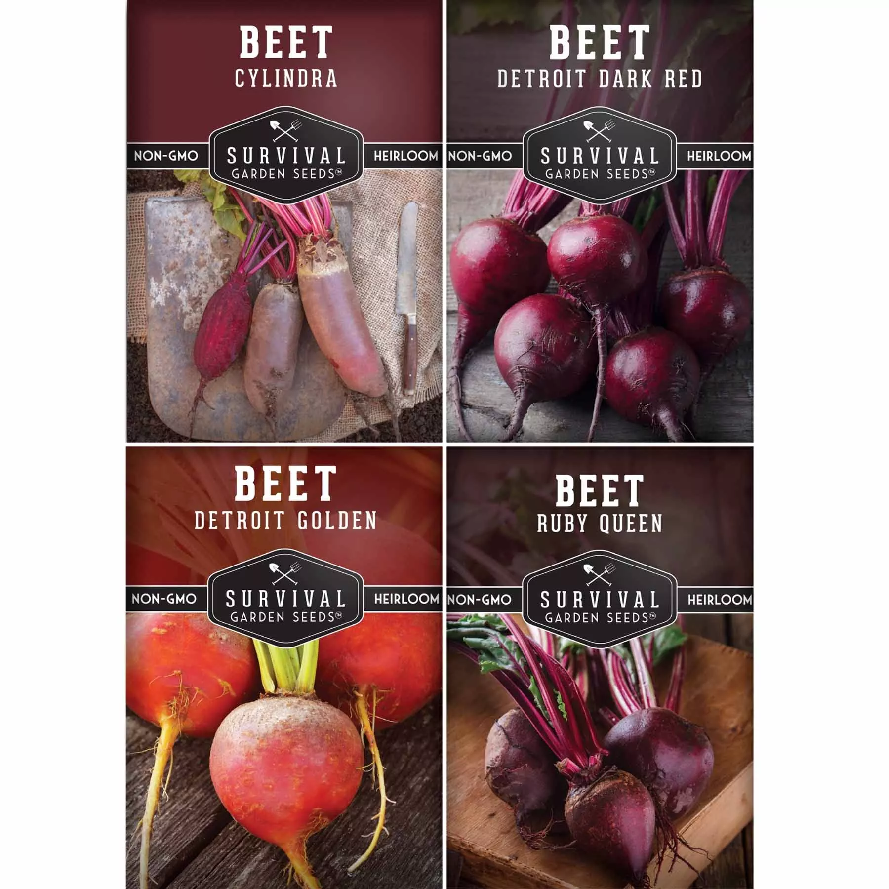 beet-seed-collection-cylindra-ruby-queen-detroit-dark-red-golden-beets Beet Seed Collection – Cylindra, Ruby Queen, Detroit Dark Red & Golden Beets