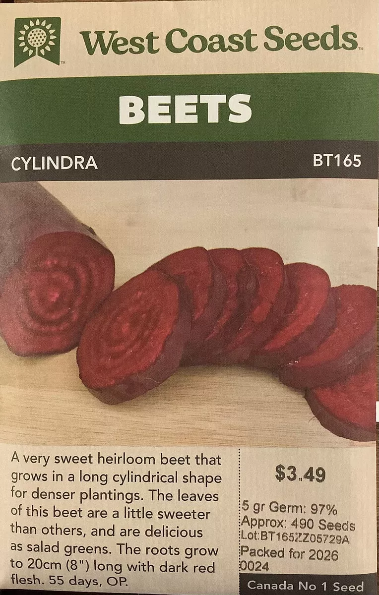 beets-cylindra Beets - Cylindra