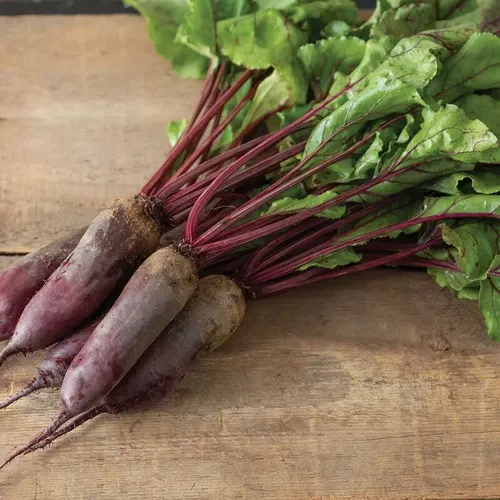 beets-formanova Beets (Formanova)