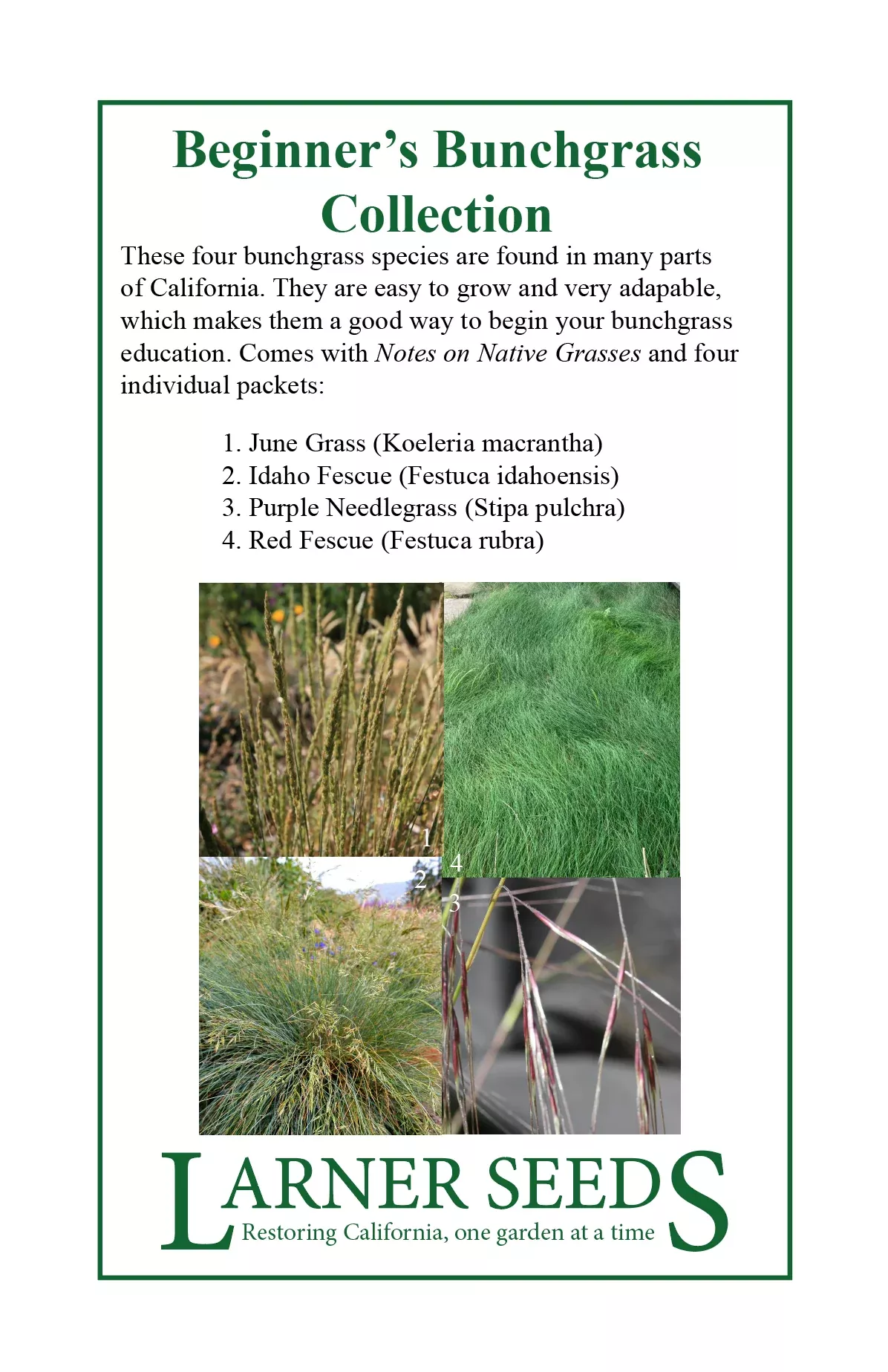 beginner-s-bunchgrass-collection Beginner's Bunchgrass Collection