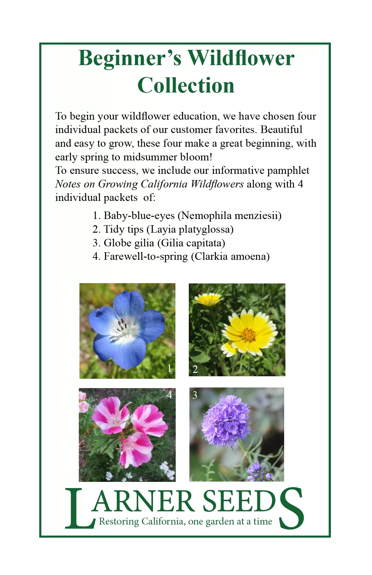 beginner-s-wildflower-collection Beginner's Wildflower Collection