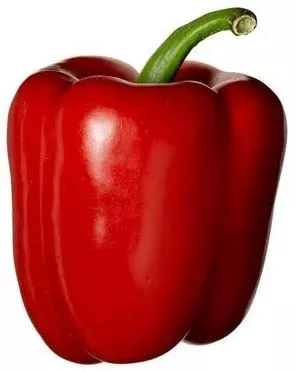bell-pepper-lalbagh Bell Pepper-Lalbagh