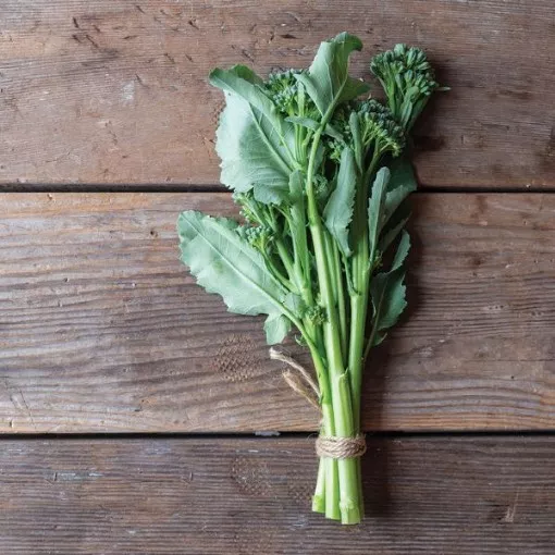 bella-verde-broccoli-seeds Bella Verde Broccoli Seeds