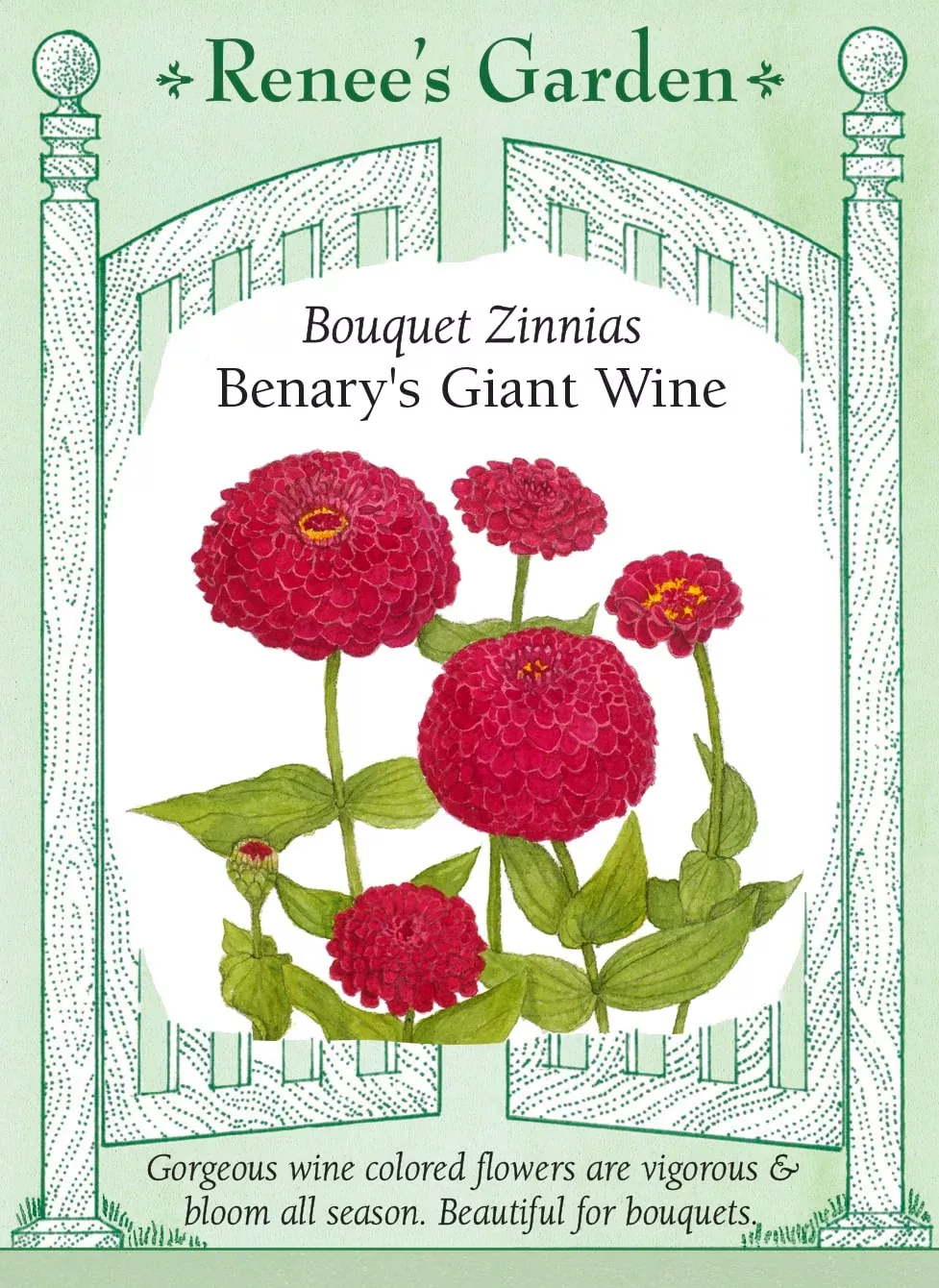 benary-s-giant-wine Benary's Giant Wine