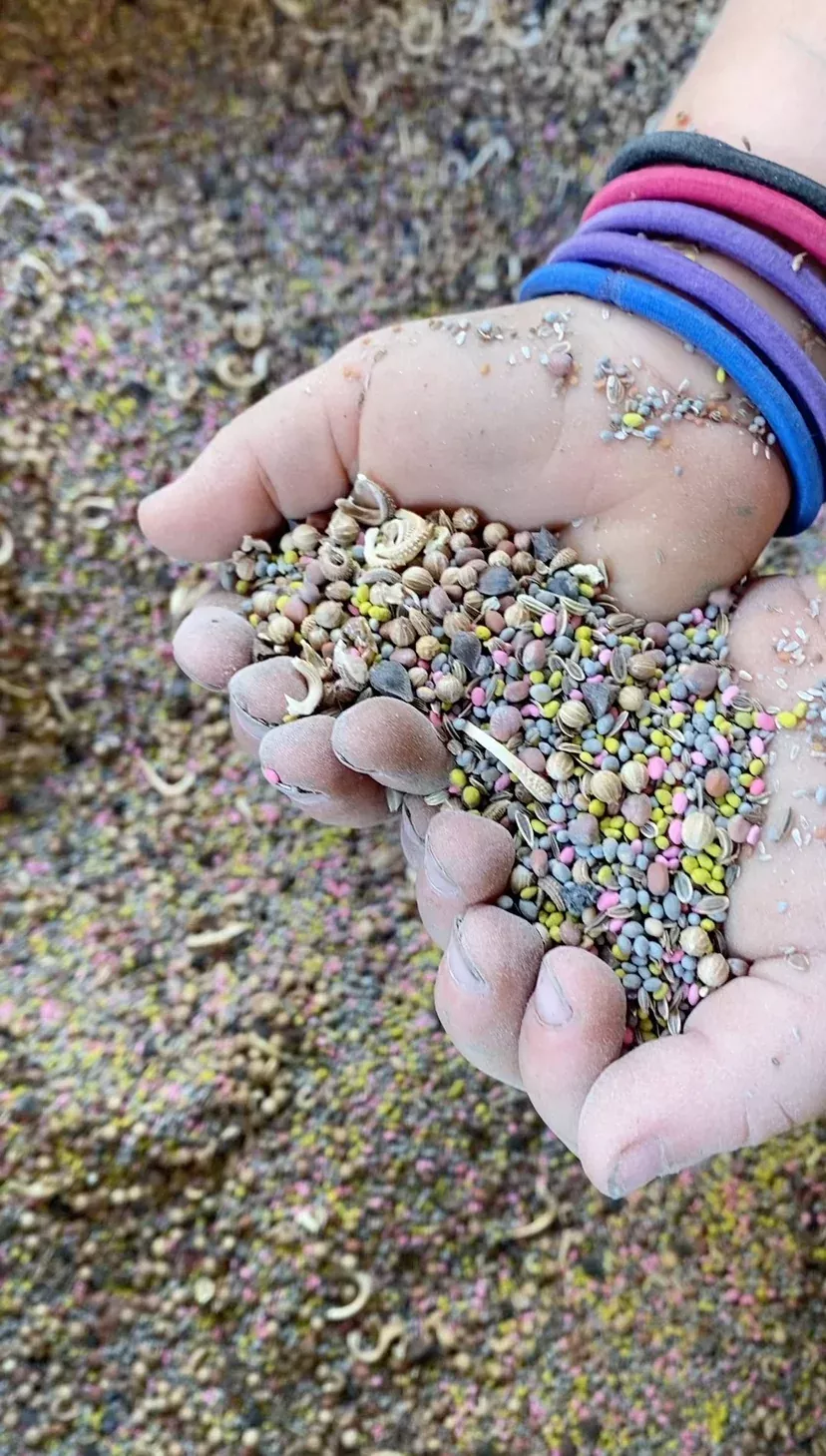 beneficials-blend-seed-mix Beneficials Blend Seed Mix