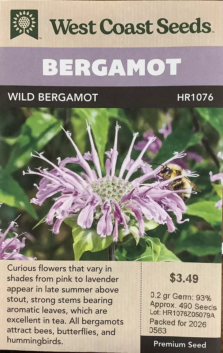 bergamot-wild-bergamot Bergamot - Wild Bergamot