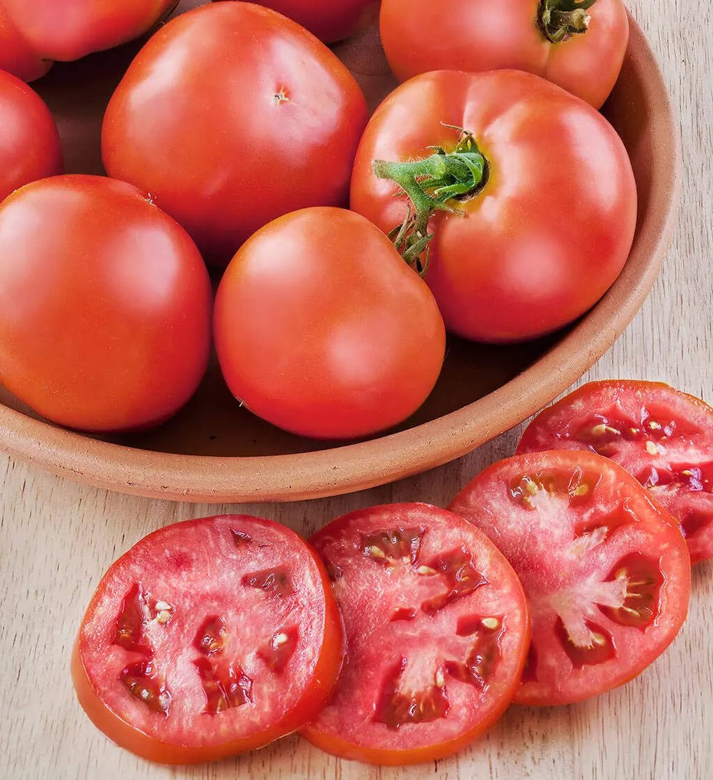 better-bush-tomato-2-pack Better Bush Tomato (2 Pack)