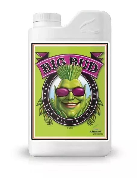 big-bud-1-lt BIG BUD 1 LT