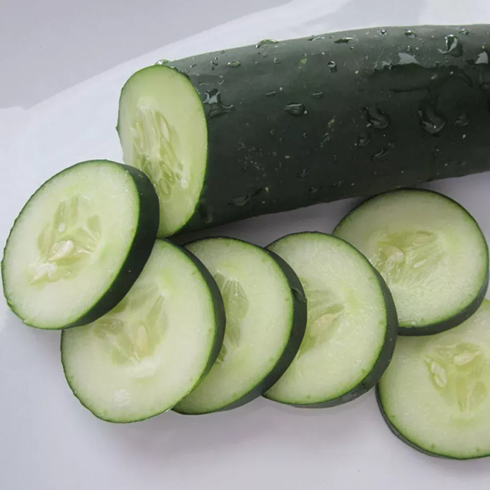Big Tasty Hybrid Cucumber