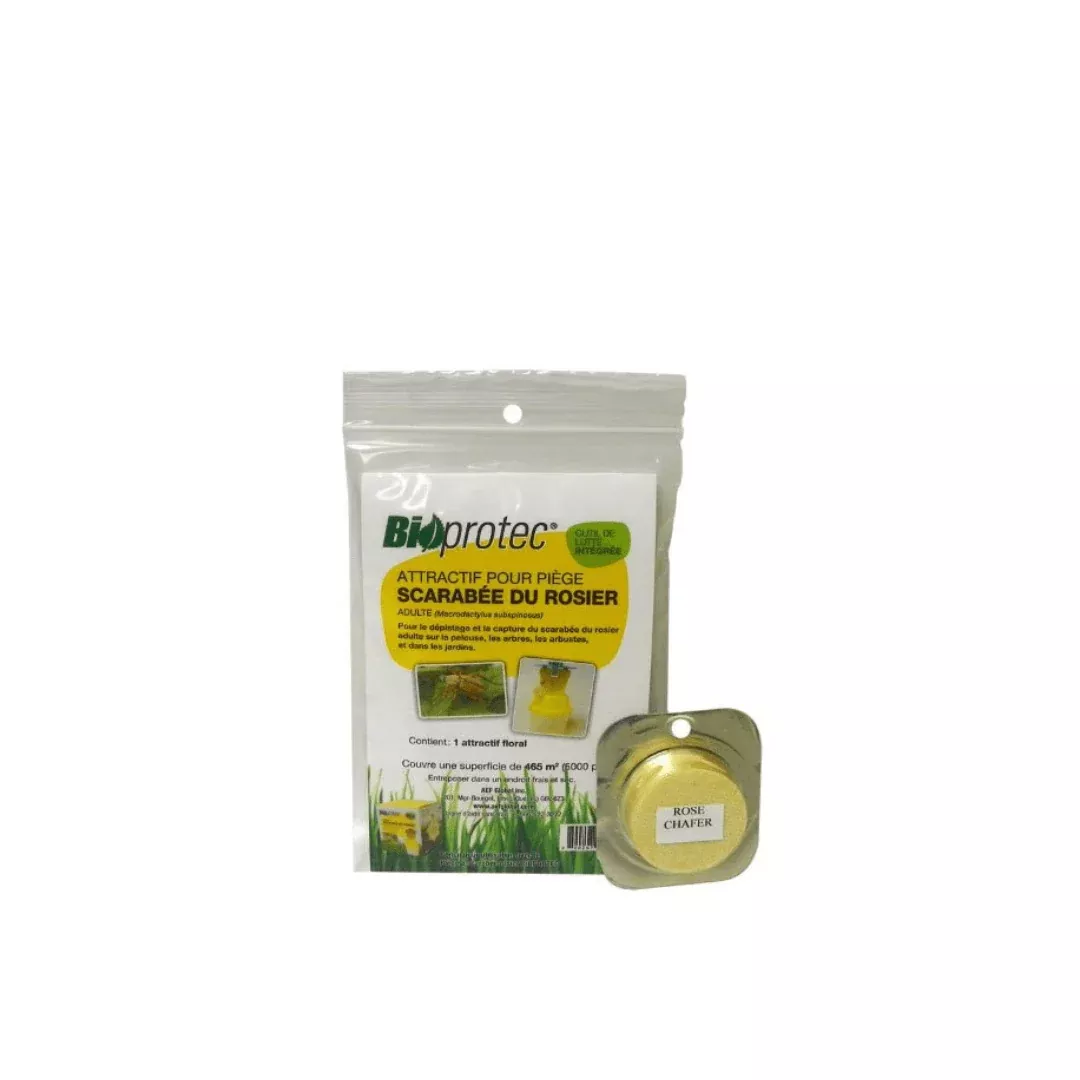 bioprotec-rose-chafer-beetle-lure-trap BioProtec Rose Chafer Beetle Lure (for Trap)