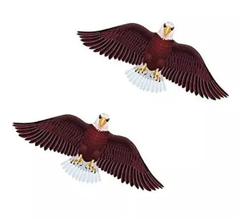 Bird Kites