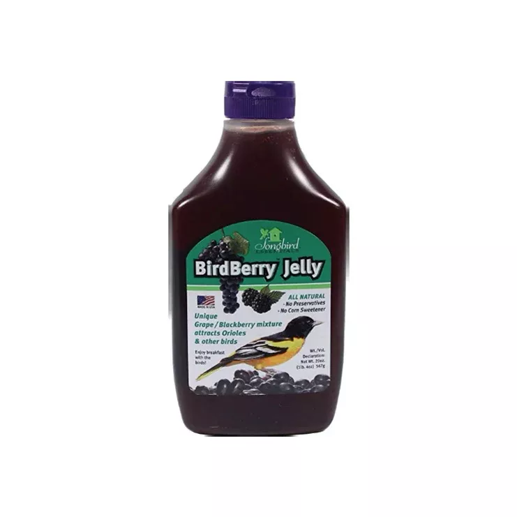 BirdBerry Jelly