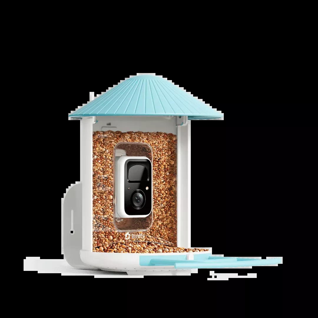 birdfy-feeder-ai-powered-smart-bird-feeder-with-camera Birdfy Feeder - AI-Powered Smart Bird Feeder with Camera