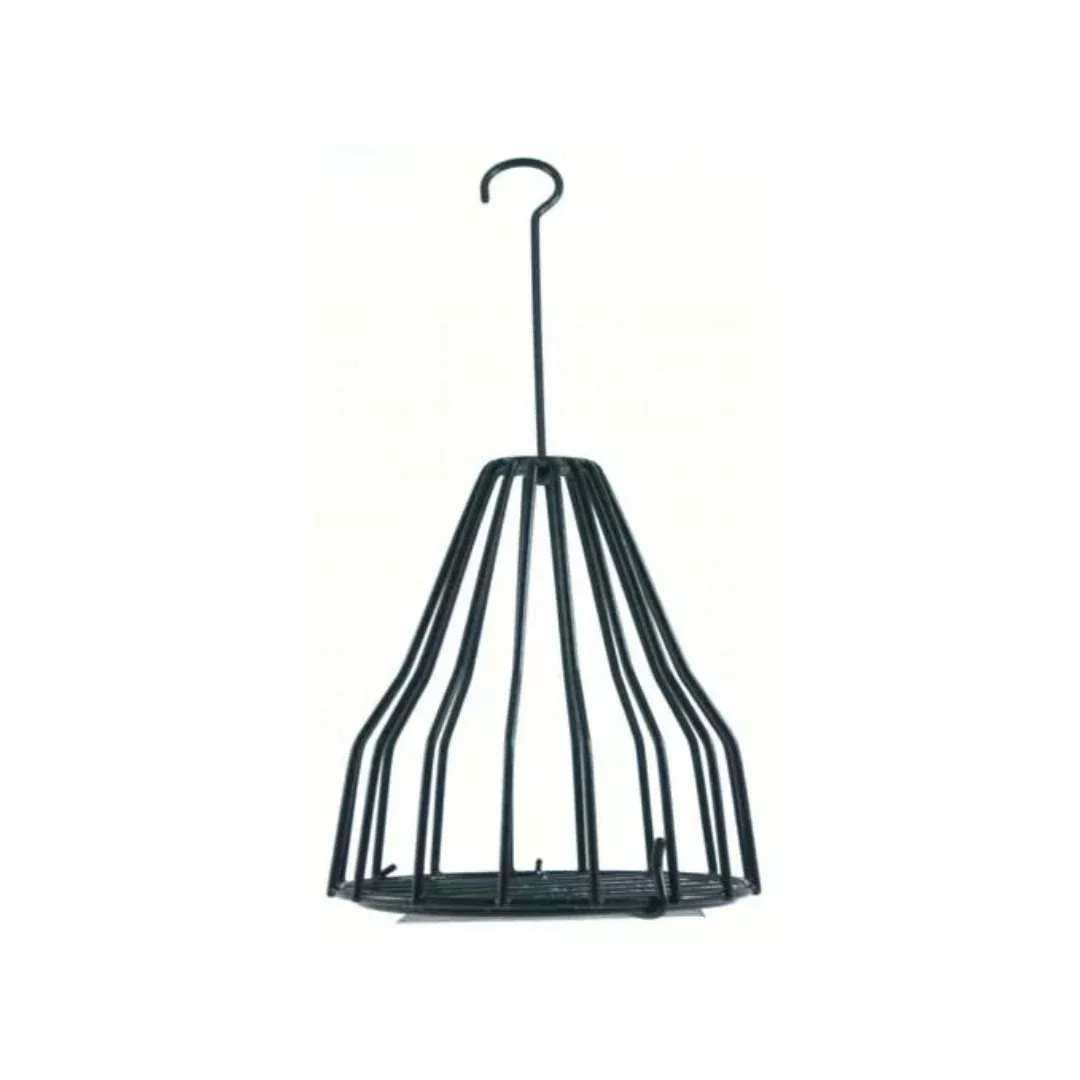 Birdie Bell