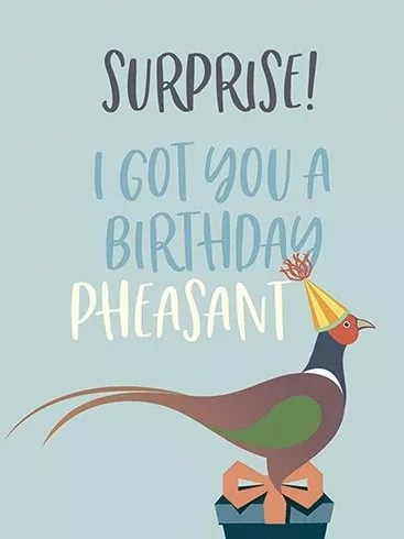 birthday-card-birthday-pheasant Birthday Card: A Birthday Pheasant