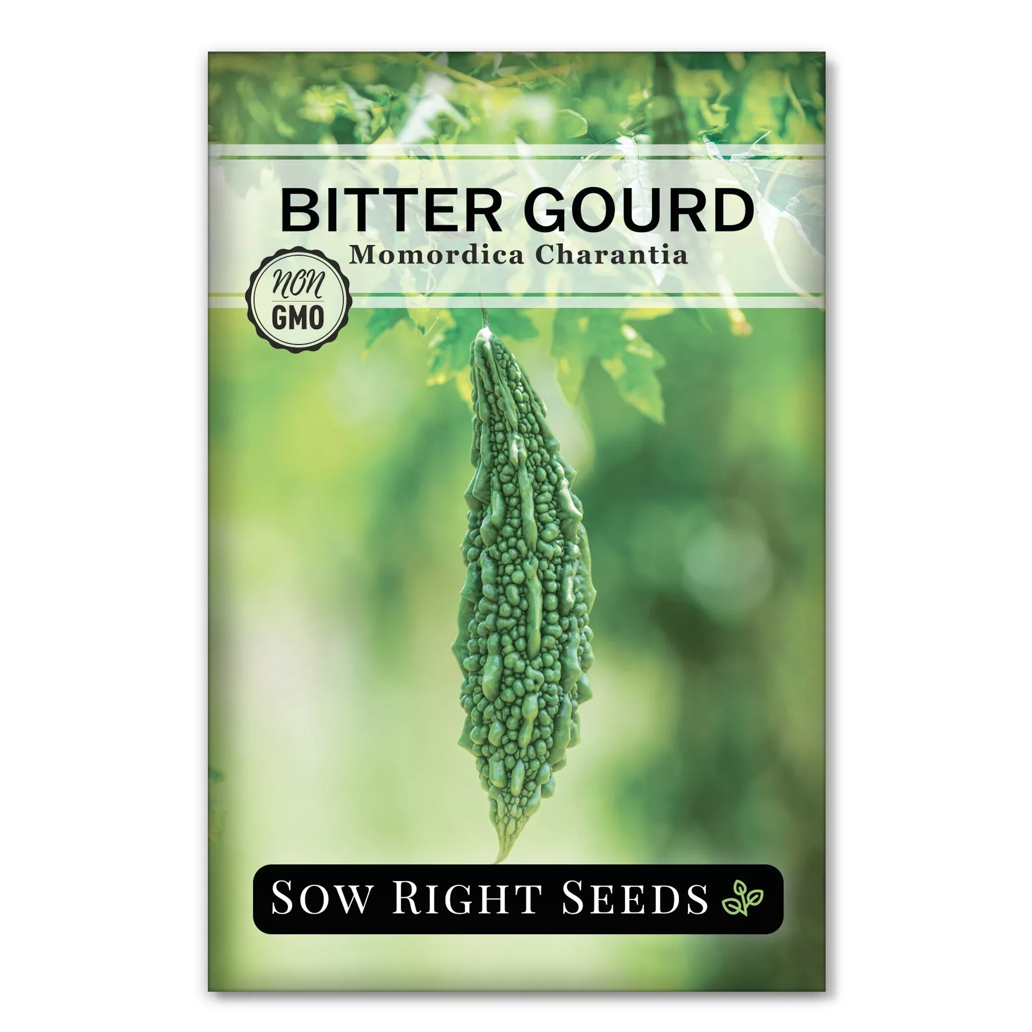 bitter-naja-gourd Bitter Naja Gourd