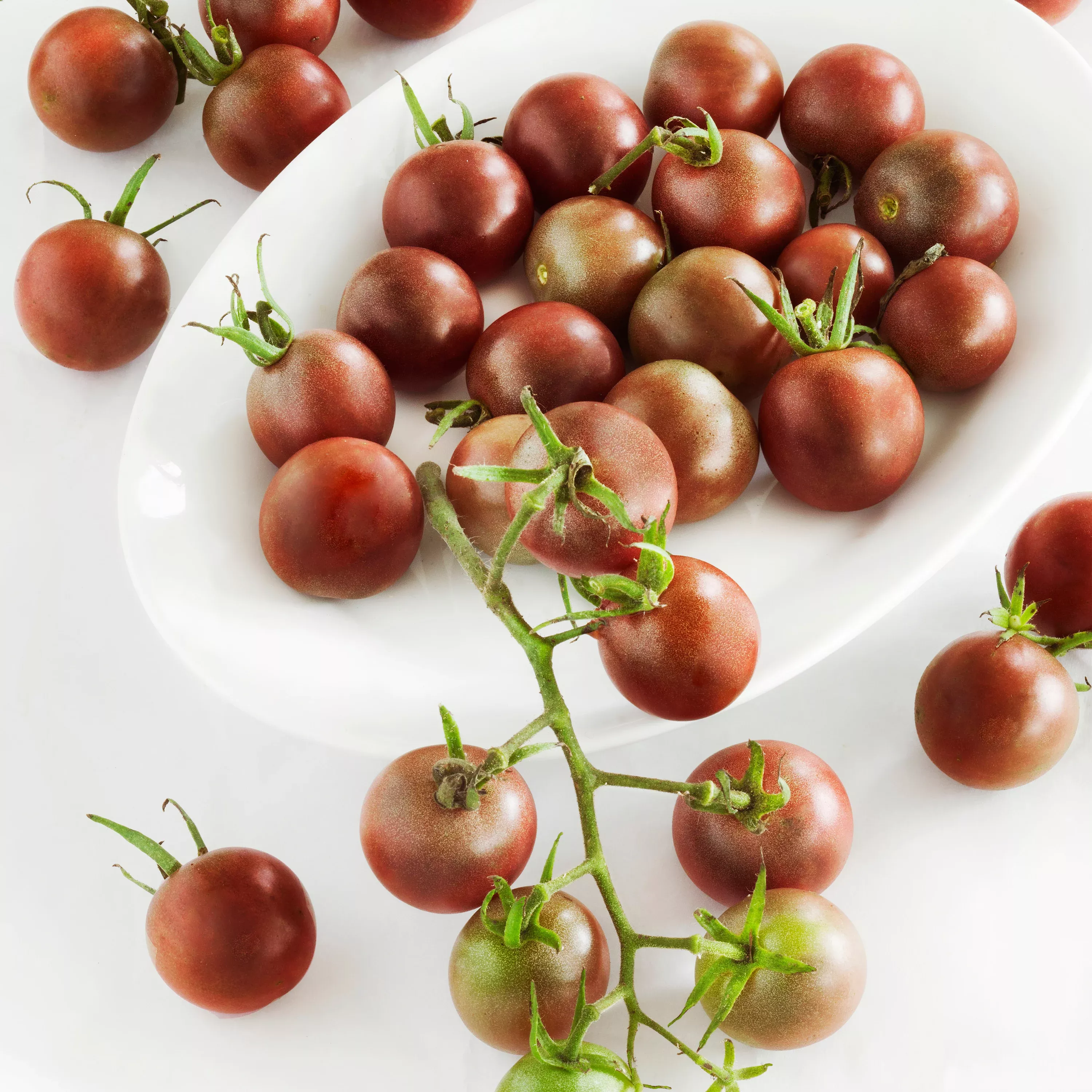 Black Cherry Tomato (2 Pack)