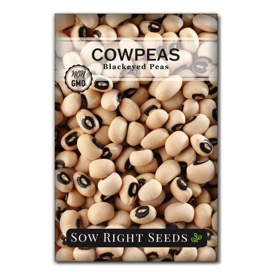 black-eyed-cowpea Black-Eyed Cowpea