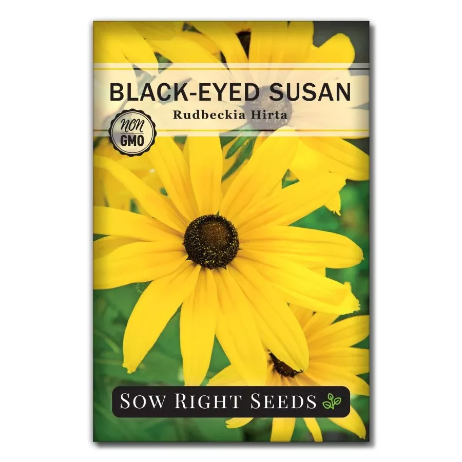 black-eyed-susan-seeds Black-Eyed Susan Seeds