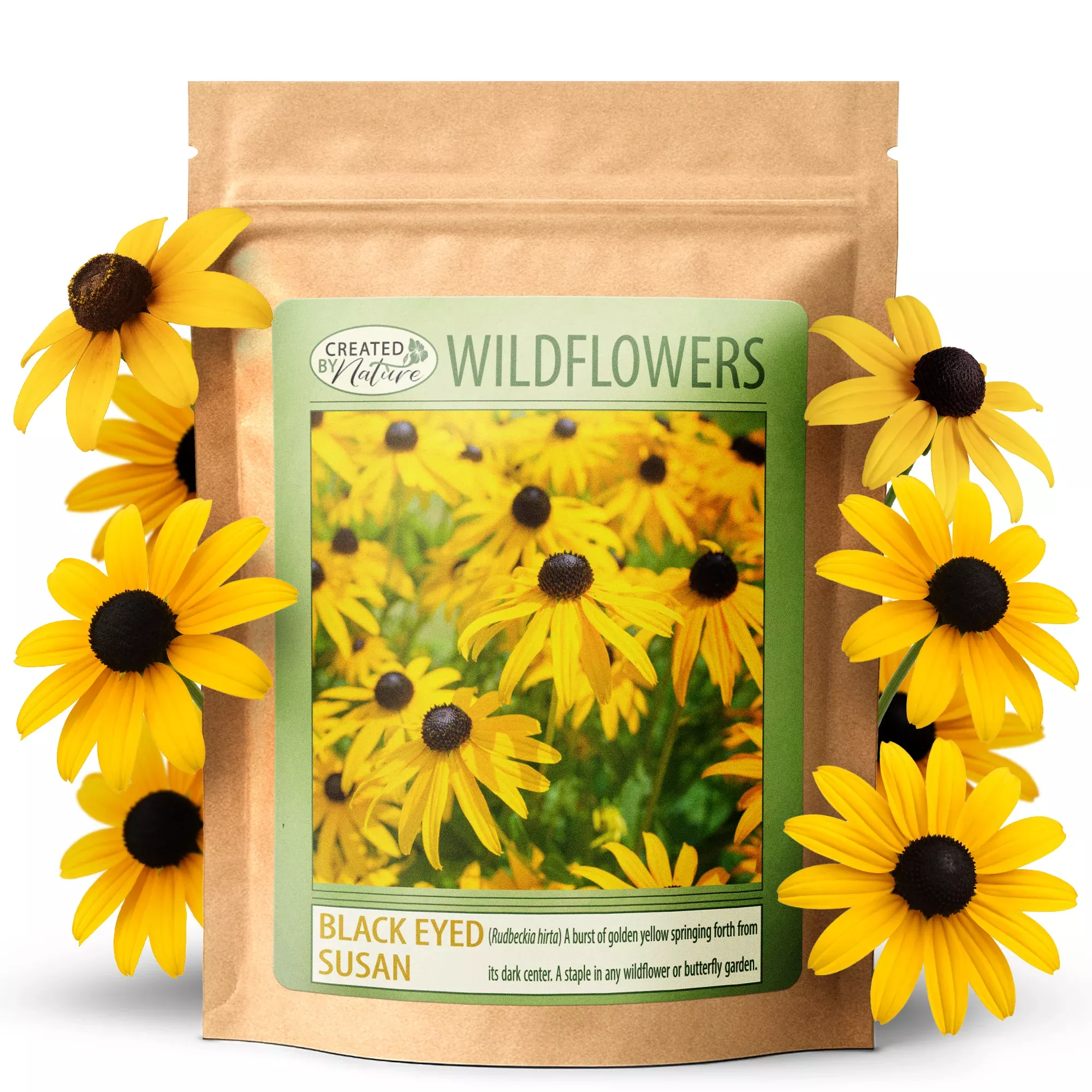 Black Eyed Susan Wildflower Seeds