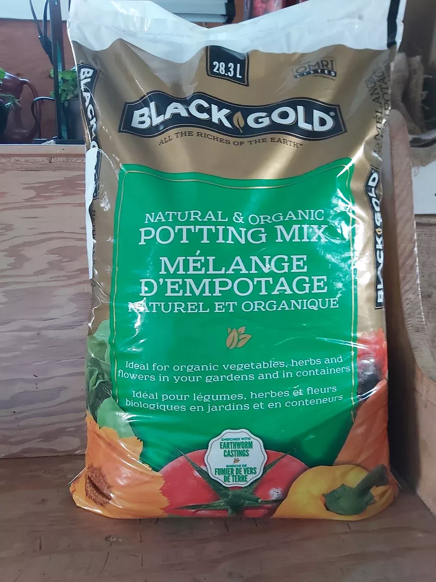 black-gold-organic-mix Black Gold Organic Mix