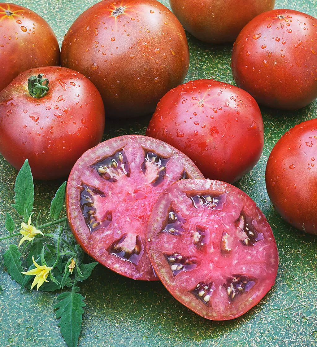 black-prince-heirloom-tomato-2-pack Black Prince Heirloom Tomato (2 Pack)