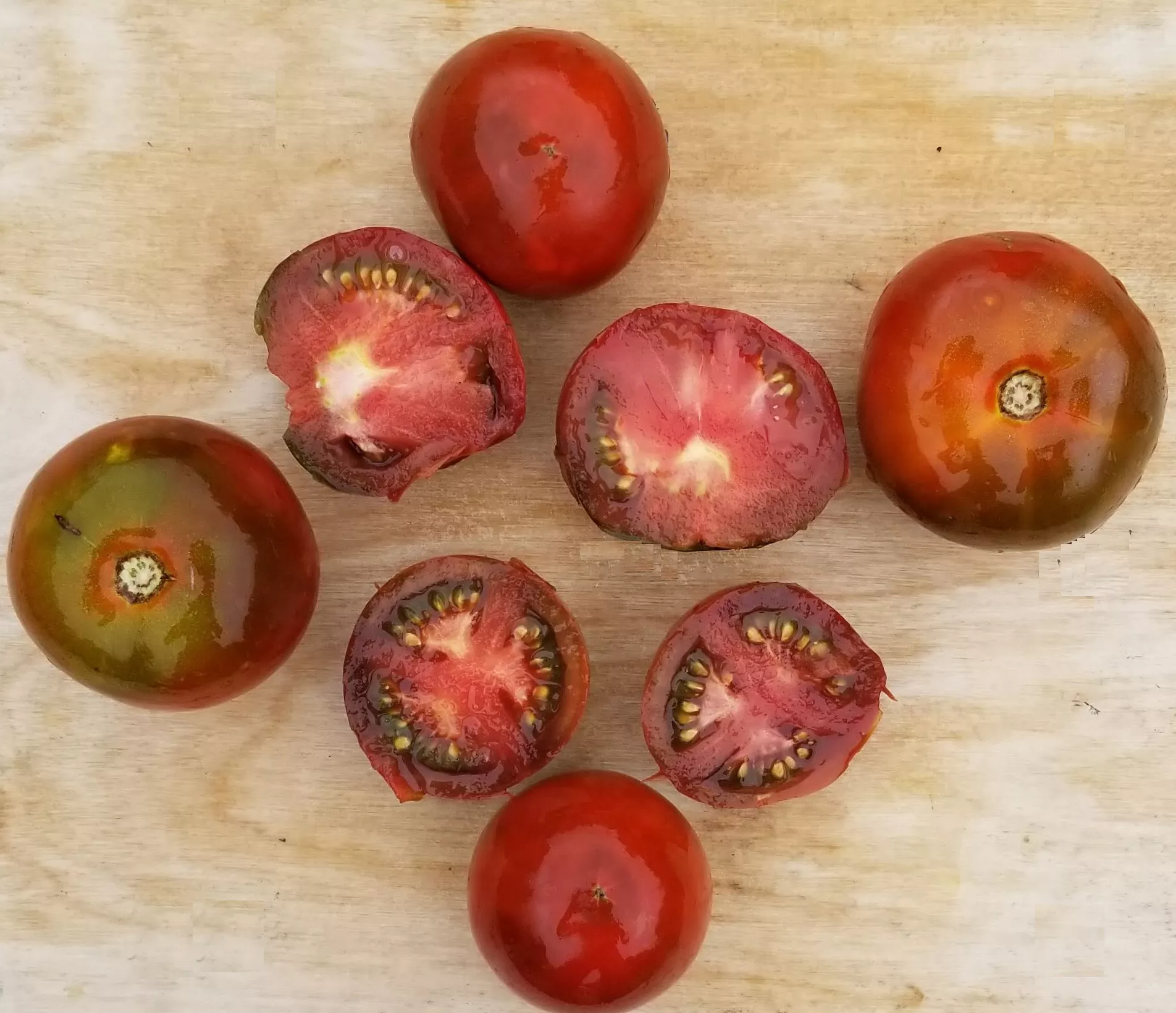 Black Prince Tomato